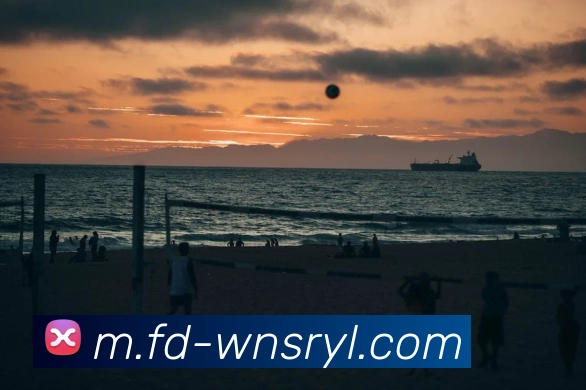 App Interface Preview